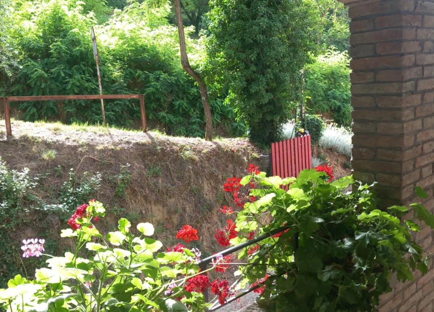 Helichrysum Bed & Breakfast Vinci