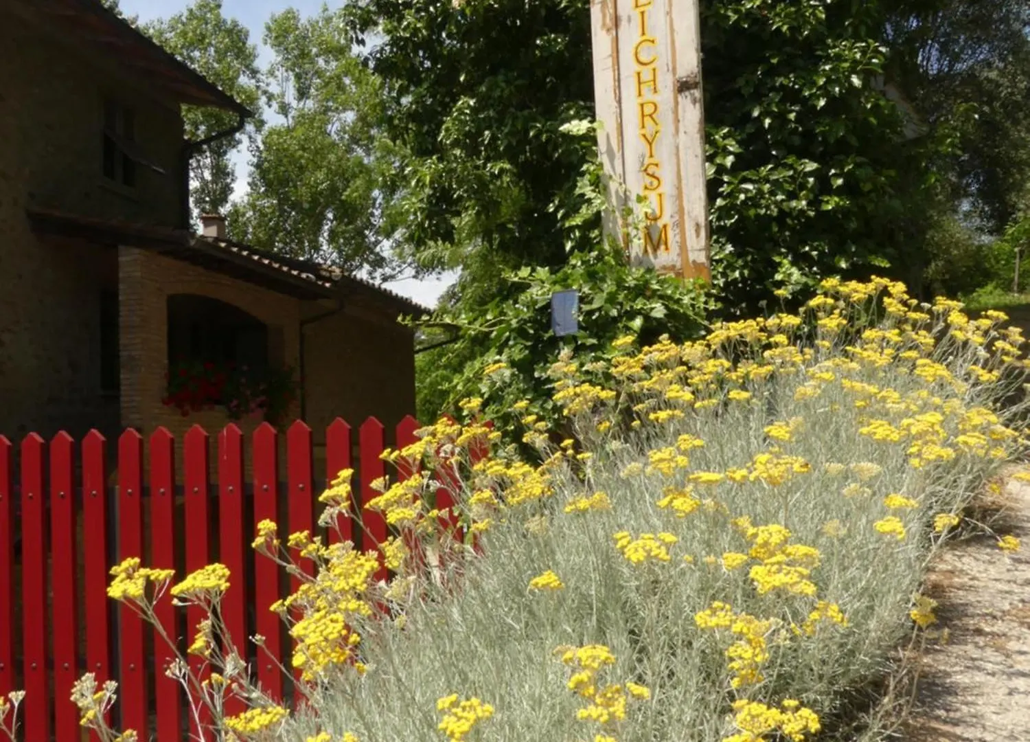 Helichrysum Bed & Breakfast Vinci 0*,